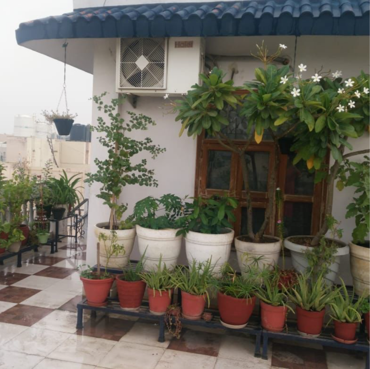 Exterior View, anamika-enclave 3 Bedroom 250 Sq.Yd. Builder Floor In Prem Nagar 2 Gurgaon 9737612