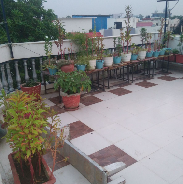 Balcony, anamika-enclave 3 Bedroom 250 Sq.Yd. Builder Floor In Prem Nagar 2 Gurgaon 9737612