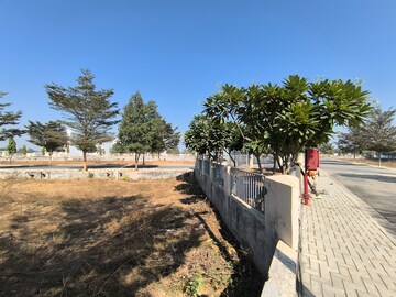  Plot For Sale in Pataudi