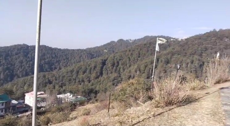 undefined, chail 1 RK 2000 Sq.Ft. Independent House In Chail Solan 9740049