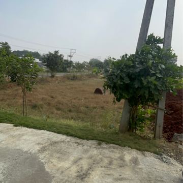 Plot Area in  Plot at Kaza – for Sale