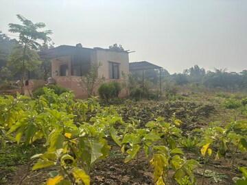  Plot – Exterior View View at Raisen Road - for Sale