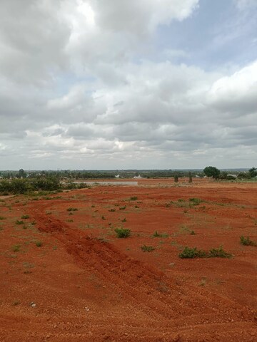 Plot Area in  Land at Kolar Road – for Sale