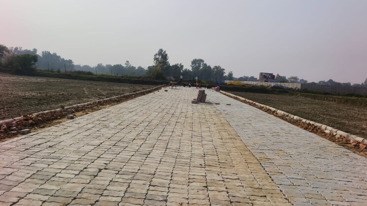 undefined, rohania  800 Sq.Ft. Plot In Rohania Varanasi 9743208