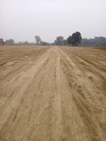 Plot Area in  Plot at Jankipuram Extension – for Sale