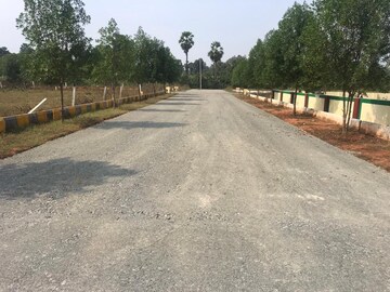  Plot For Sale in Cheepurupalli
