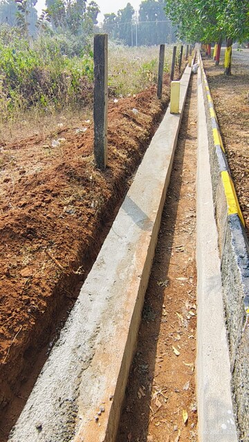 Plot Area in  Plot at Cheepurupalli – for Sale