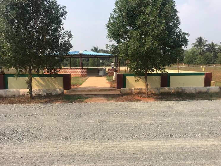 Exterior View, cheepurupalli  167 Sq.Yd. Plot In Cheepurupalli Vizianagaram 9746344