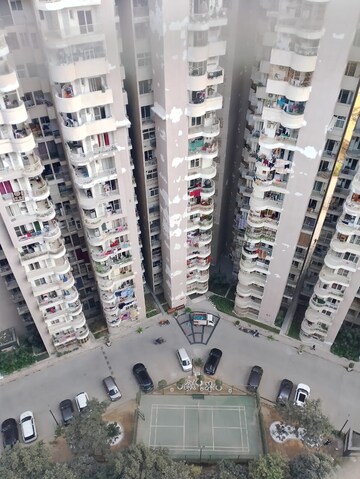 3 BHK Apartment For Rent in Amrapali Crystal Homes, Sector 76