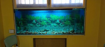 Bedroom in 2 BHK Apartment at Galaxy Towers, Powai – for Rent