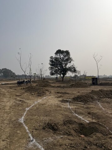 Plot Area in  Plot at Mohanlalganj – for Sale