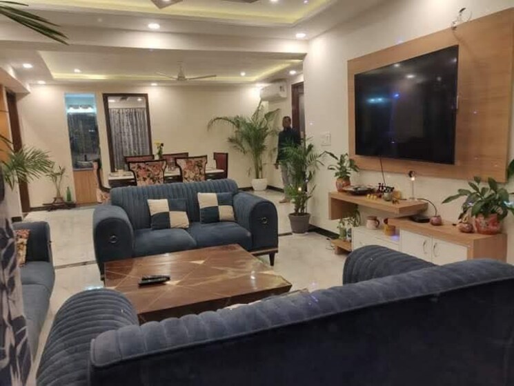 Living Room, saket 2 Bedroom 1000 Sq.Ft. Apartment In Saket Delhi 9748021