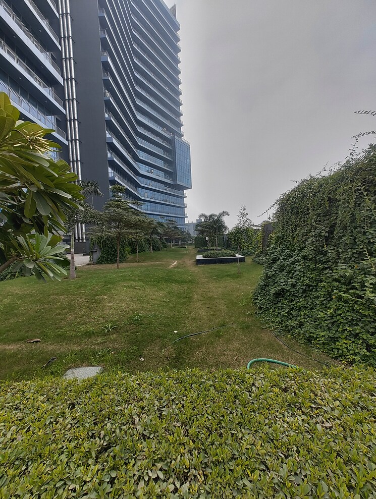 Garden, dah-greentech-nx-avenue Studio 595 Sq.Ft. Apartment In Tech Zone 4 Greater Noida Greater Noida 9748115