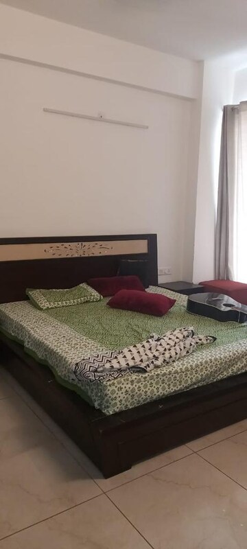 3 BHK Builder Floor For Rent in Housing Board Colony Sector 51, Sector 51