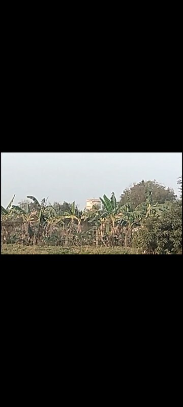 Plot Area in  Land at Kondakal – for Sale