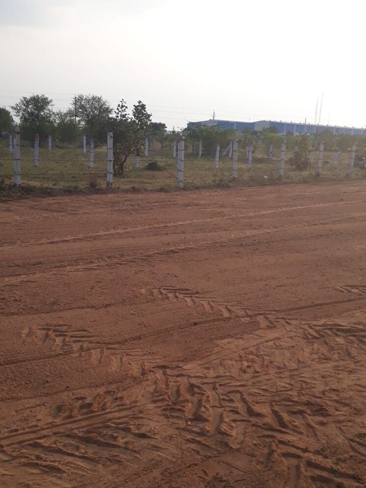 Cover Image, jewar  100 Sq.Yd. Plot In Jewar Greater Noida 9749728