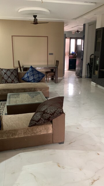 Living Room in 3 BHK Builder Floor at Sector 38 – for Rent