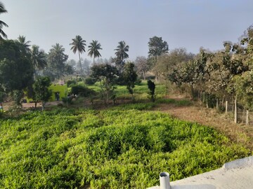  Plot For Sale in Devanahalli