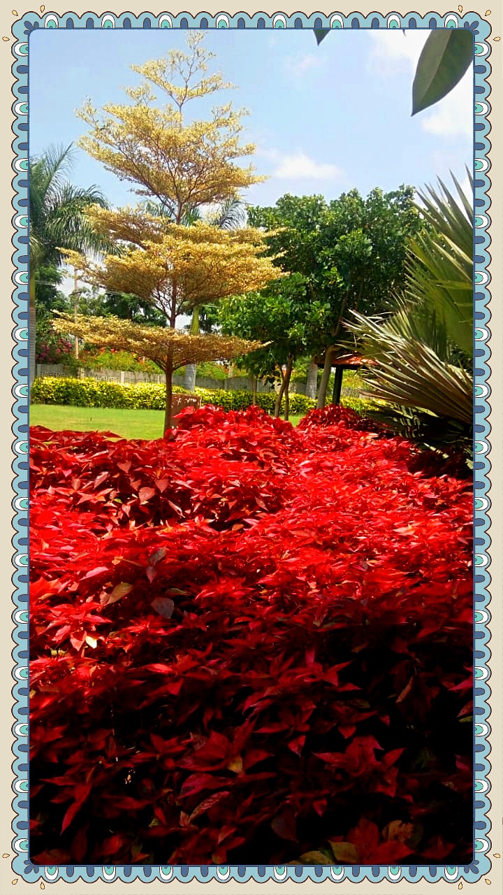  Plot For Sale in Gauribidanur Road