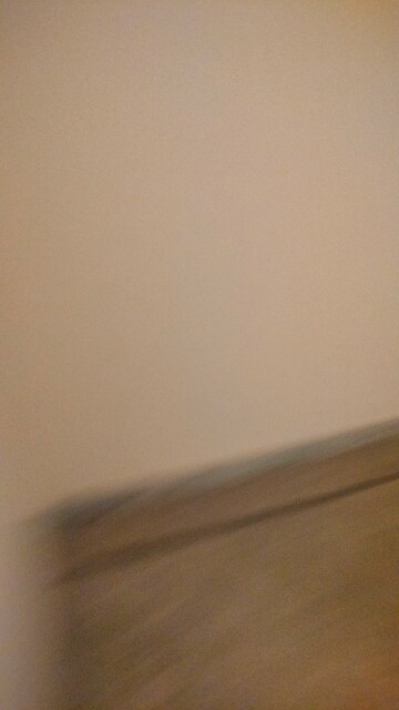 Furnished Amenities in 3 BHK Independent House at Sector 41 – for Rent