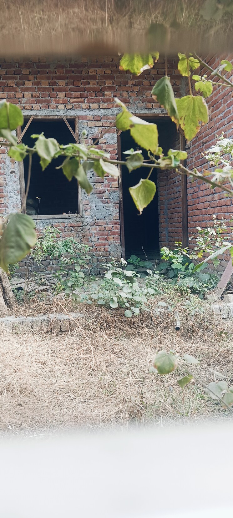 Master Bedroom, ansal-api-aquapolis 6 Bedroom 187 Sq.Yd. Independent House In Dundahera Ghaziabad 9751474