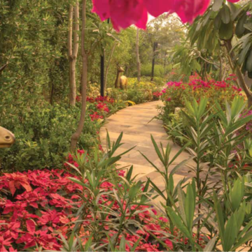 3 BHK Apartment – Garden View at Sector 37d - for Sale