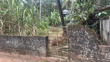  Plot For Sale in Viyyur