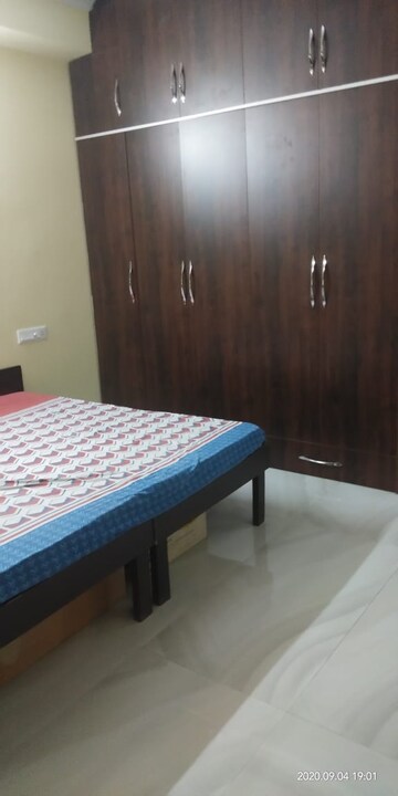 3 BHK Builder Floor For Rent in Sector 23a