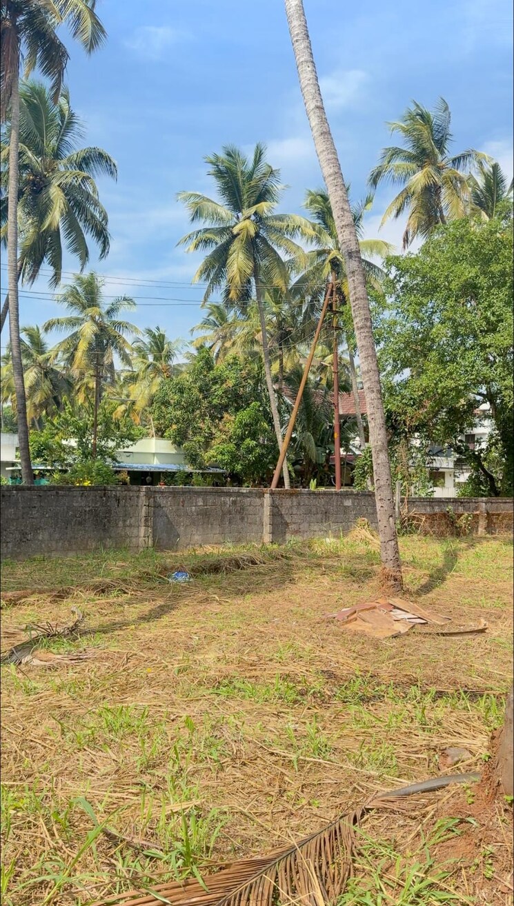 undefined, ayyanthole  2614 Sq.Ft. Plot In Ayyanthole Thrissur 9752698