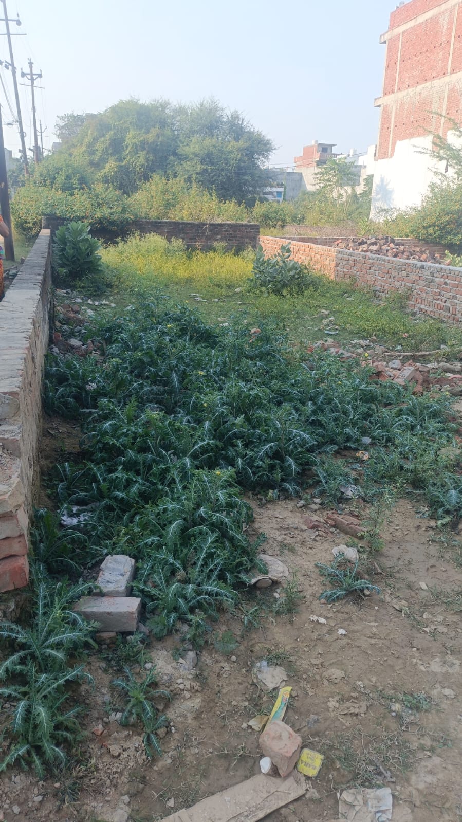 Plot For Sale in Gomti Nagar