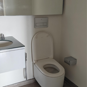 Bathroom in 3 BHK Apartment at Lodha The World Towers World One Tier 2, Empire Mill – for Rent