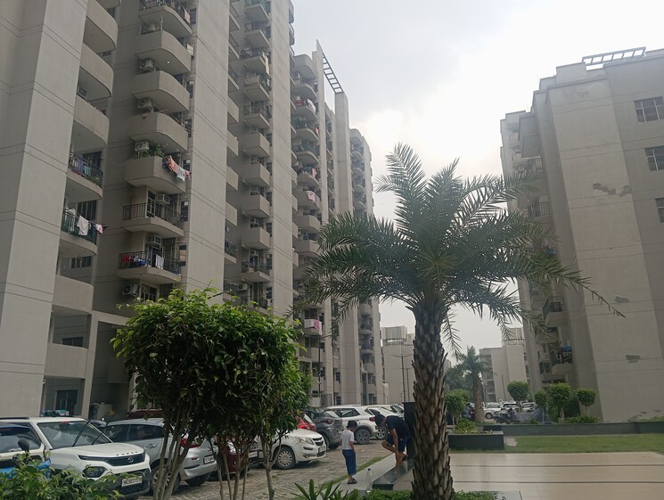 Cover Image, signature-global-solera-2 2 Bedroom 634 Sq.Ft. Apartment In Sector 107 Gurgaon 9754994