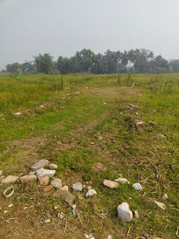 Plot Area in  Plot at Bishnupur – for Sale