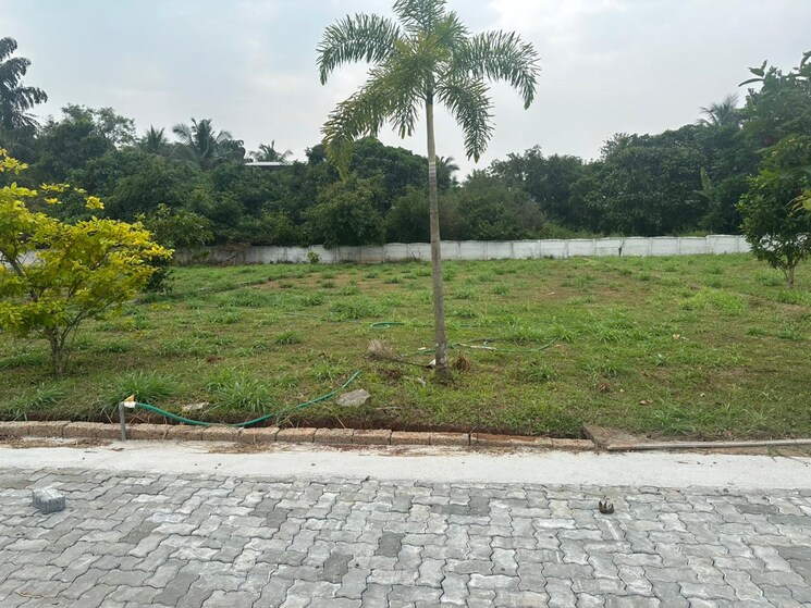 undefined, kechery  4791 Sq.Ft. Plot In Kechery Thrissur 9755726