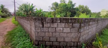 Plot Area in  Plot at Punkunnam – for Sale