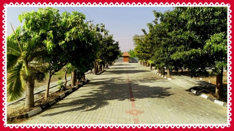 Exterior View, gauribidanur road  1200 Sq.Ft. Plot In Gauribidanur Road Bangalore 9755823