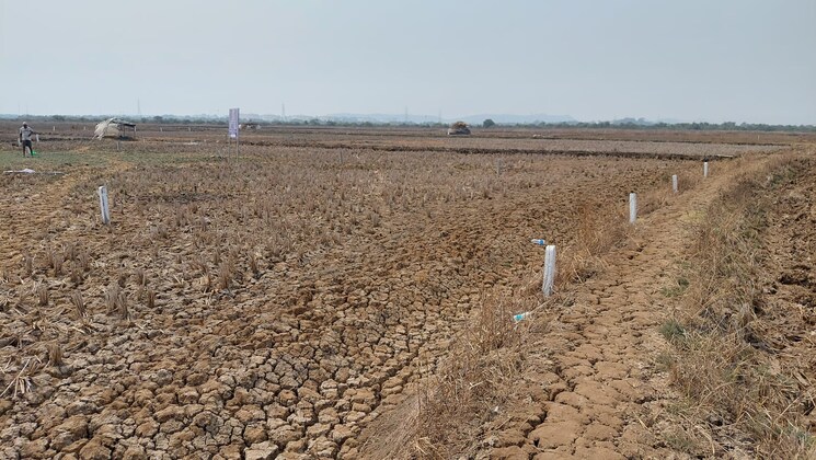 Cover Image, katara hills  3000 Sq.Ft. Plot In Katara Hills Bhopal 9756463