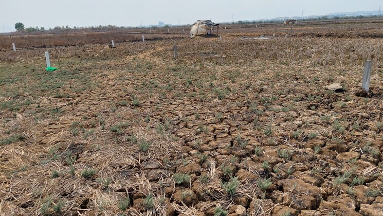 undefined, katara hills  3000 Sq.Ft. Plot In Katara Hills Bhopal 9756463