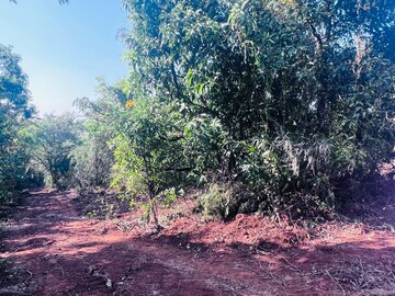 Plot Area in  Plot at Mangaon – for Sale