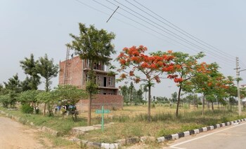 Plot for Sale in Panchkula Urban Estate, Panchkula