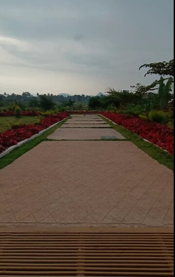  Plot – Exterior View View at Chikkaballapur - for Sale