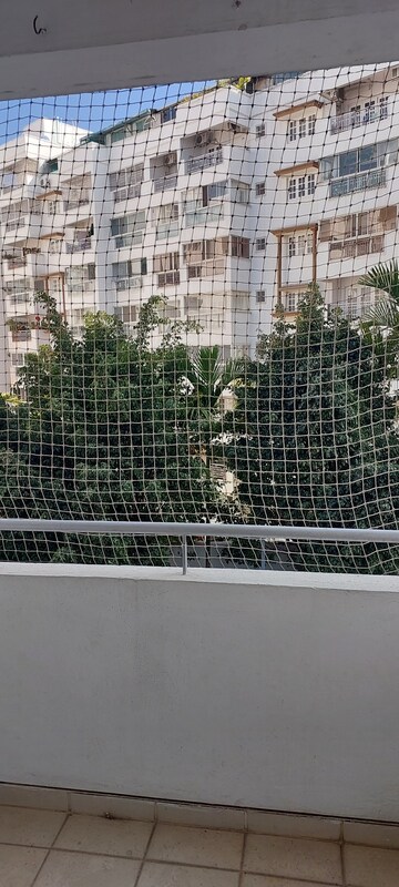 3 BHK Apartment For Rent in Sobha Magnolia, Btm Layout