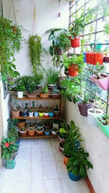 Room in  Pg at Vibhuti Khand – for Rent