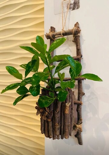  Pg For Rent in Vibhuti Khand