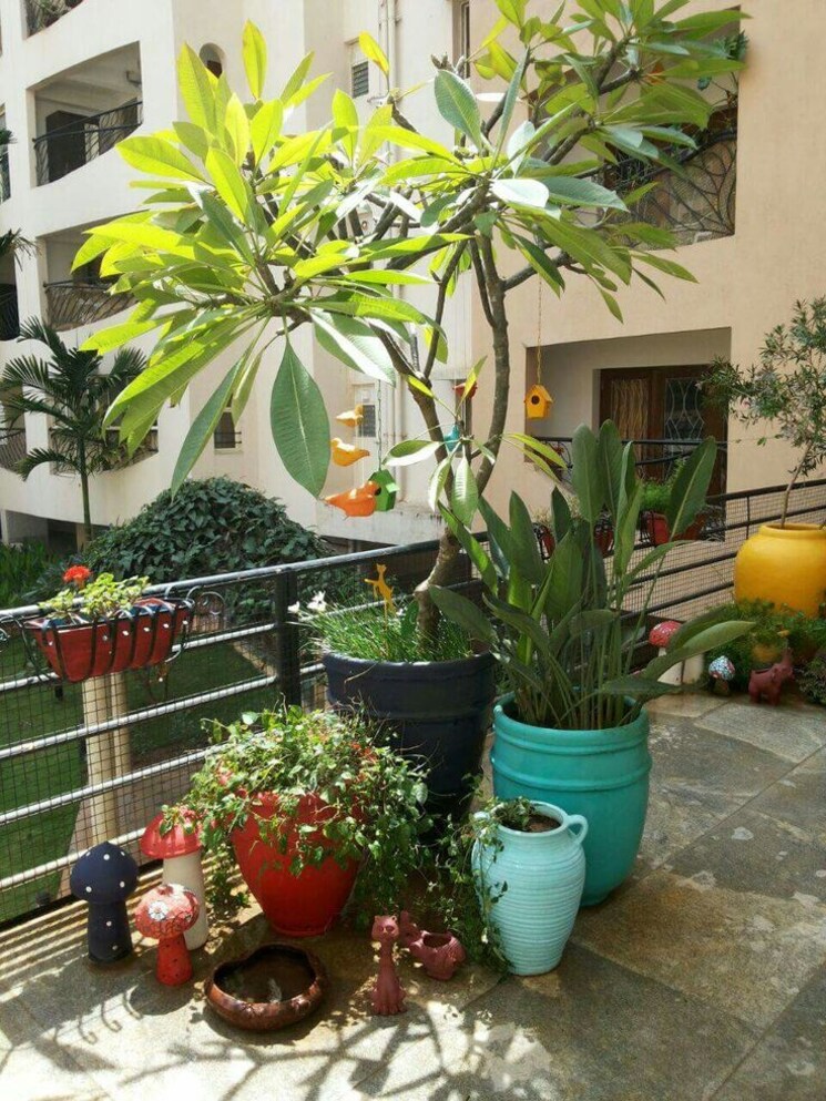 Room, vibhuti khand Pg For Girls In Vibhuti Khand 9757842