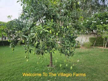 Swaraaj The Villagio