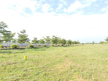 Plot Area in  Plot at Shadnagar – for Sale