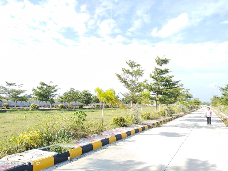 Garden, shadnagar  150 Sq.Yd. Plot In Shadnagar Hyderabad 9757940