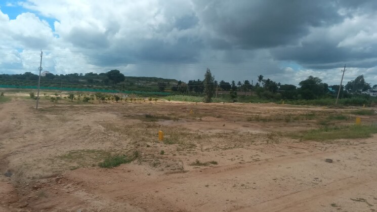 undefined, chikkaballapur  1500 Sq.Ft. Plot In Chikkaballapur Bangalore 9757967