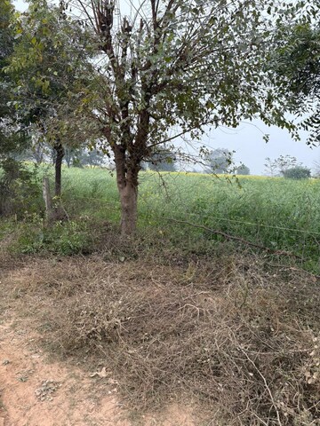 Plot Area in  Land at JDIA Dream City, Jewar – for Sale